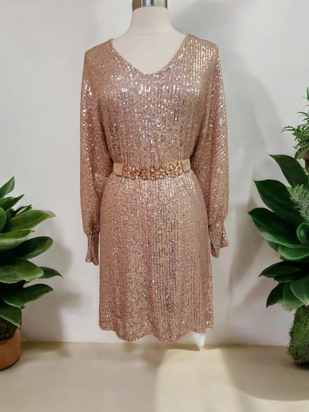 Sequined Dress