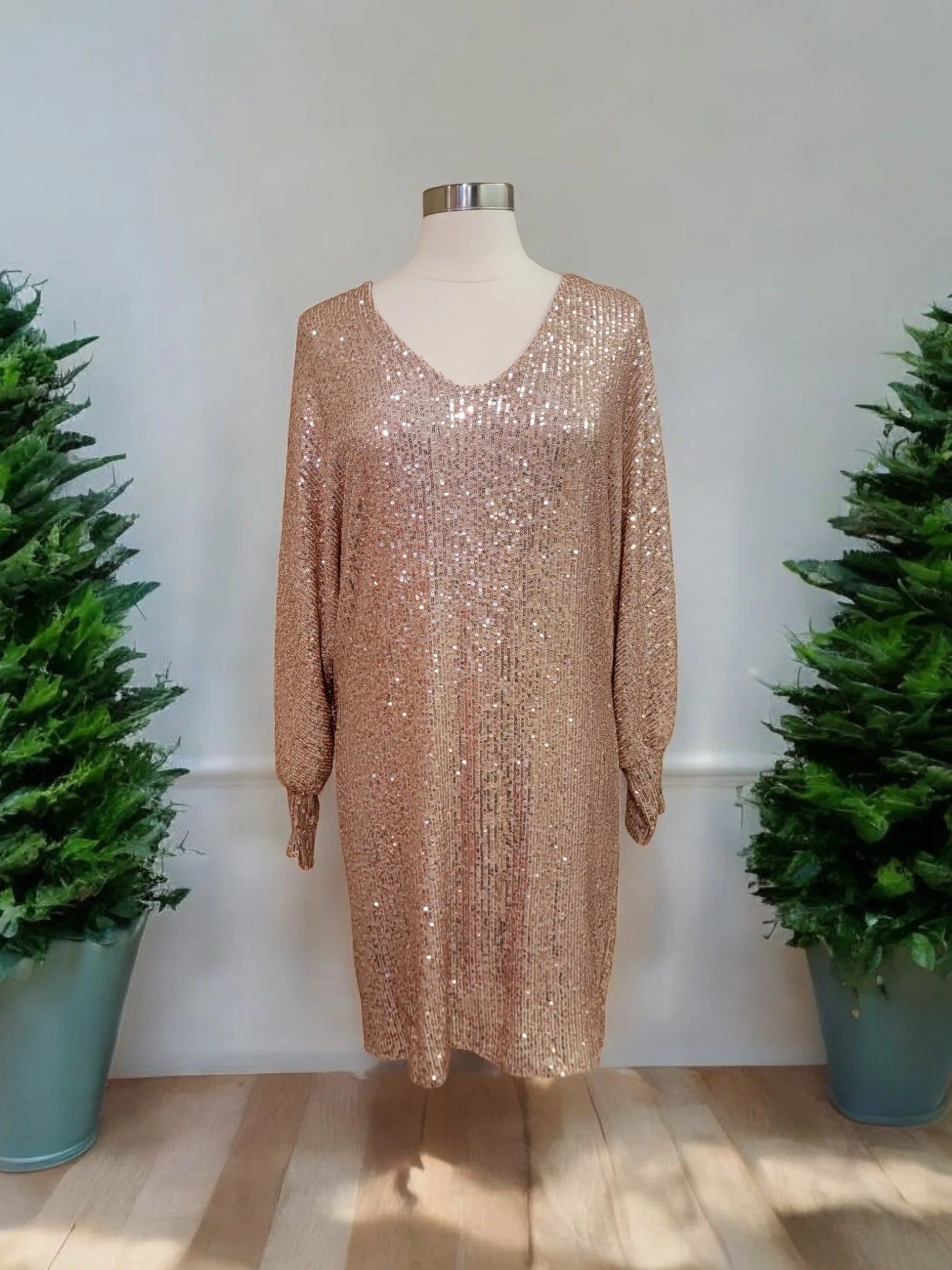 Sequined Dress